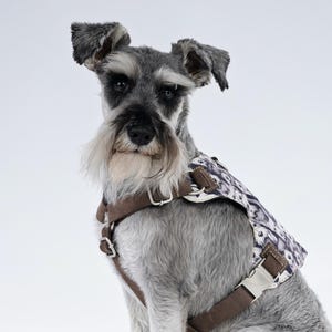 Schnauzer Dog Harness – Adjustable, Handmade, and Comfortable for Small to Large Dogs | Unique Funky Dog Gear for Trendy Dogs Harness