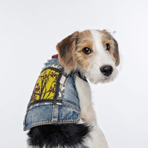 Funky Dog Vest Jacket Denim Dog Vest For Dogs Stylish Dog Jacket Tiny Dog Clothes Denim Dog Jacket Small Dog Jacket Yorkie Clothes
