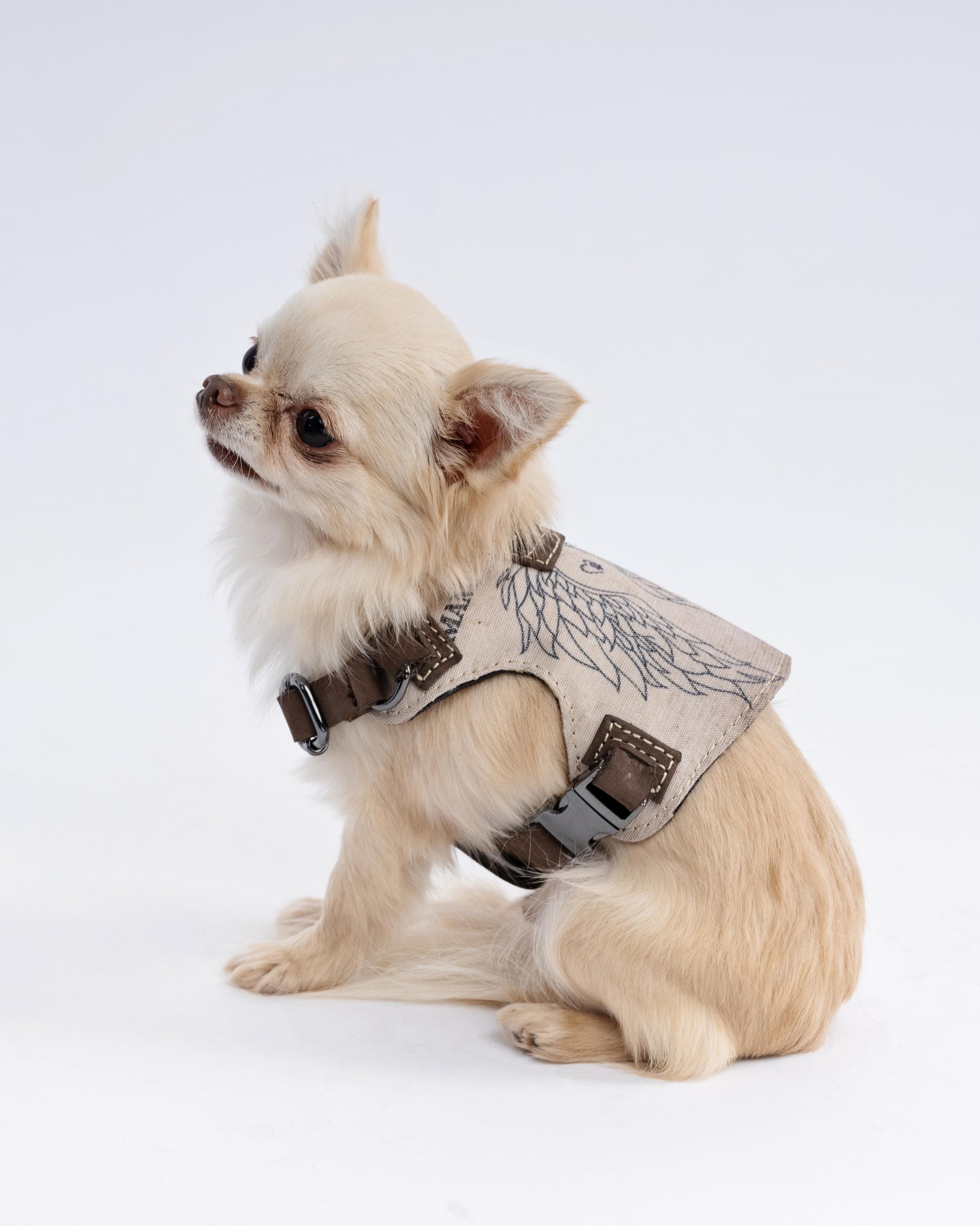 Unique Dog Harness New Zealand