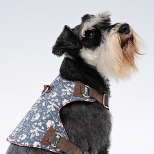 May include: A dog wearing a blue floral patterned harness with brown leather straps and metal hardware. The harness features a design with white flowers and skulls. The dog has black and grey fur with a white and tan beard.