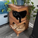 Cat Furniture