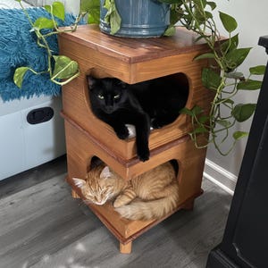 May include: A two-tiered wooden cat house with heart-shaped openings. A black cat rests on the top level, while an orange tabby cat sleeps below. The cat house is stained a warm brown and sits beneath a potted plant.