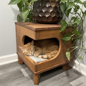 May include: A wooden cat house with a heart-shaped opening, housing a sleeping orange tabby cat on a gray cushion. The cat house is stained a warm brown and sits on short legs. A potted plant with green leaves is on top.