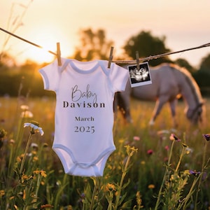 Western Pregnancy Announcement Digital, Clothesline Pregnancy , Horse Baby Reveal ,Gender Neutral Baby Announcement Template