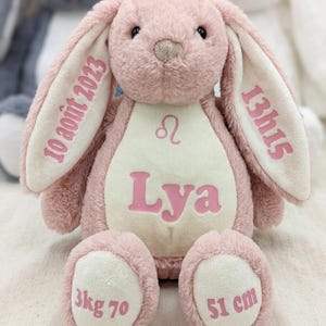 Peluche Lapin Personnalisée Naissance Prénom Date Poids | Doudou Lapin Naissance Souvenir Unique | Décoration Chambre Bébé Fille Garçon