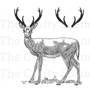 Deer, Stag, Buck, Christmas, instant digital download, SVG file, black and white, monochrome, Cricut, Silhouette