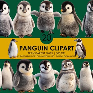 20 imágenes prediseñadas de panguin/Pingüino lindo PNG/Animal antártico/Imágenes prediseñadas de dibujos animados/Gráficos de pingüinos/Pingüino realista/Imágenes prediseñadas de animales/Pingüino bebé