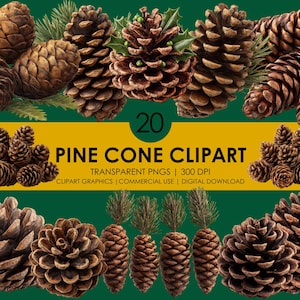 Puede incluir: Una colección de piñas marrones con agujas de pino verdes y el texto "20 PINE CONE CLIPART". La imagen presenta varios tamaños y disposiciones de los conos, adecuados para proyectos de diseño digital. El texto también incluye "TRANSPARENT PNGS | 300 DPI".