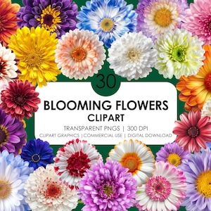 30 kwitnących kwiatów| Pakiet Bloom Clipart| Clipart kwiatów| Odosobnione pliki PNG| Realistyczne kwiaty| Sztuka cyfrowa| Clipart kwiatów| Użytek komercyjny