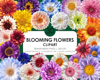 30 Blooming Flower Clipart: Realistic PNG Files (Digital Download)
