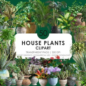 50 plantes d'intérieur clipart | Plantes d'intérieur png| Plantes en pot png| Clipart botanique | Accueil plantes tropicales| Plantes réalistes clipart | Verdure