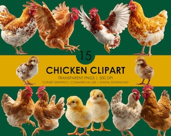 Realistisk kyckling Clipart PNG-paket: Grafik för gårdsdjur (digital nedladdning)