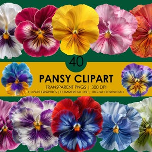 40 Stiefmütterchen Clipart | Gartenblumen| Blumenblüte PNG | Realistische Clipart | Stiefmütterchen Grafiken | Bunte Blüte Stiefmütterchen Clipart | Realistische Blumen