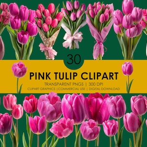 30 roze tulp clipart, tulp png, realistische tulp clipart, tulp graphics, bloemen illustraties, bloemdessin, roze bloemen clipart bundel