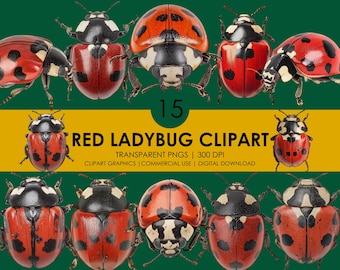 15 imágenes prediseñadas de mariquita roja/mariquita linda PNG/imágenes prediseñadas de mariquita realista/imágenes prediseñadas de insectos/gráficos de mariquita/imágenes prediseñadas realistas/descarga instantánea