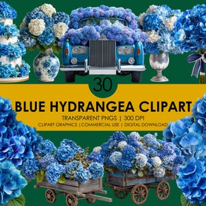 30 Blue Hydrangea Flowers Clipart Bundle, Floral Clipart, Wedding Bouquet, Wedding flowers, Hydrangea PNG, Floral spring, Botanical Clipart