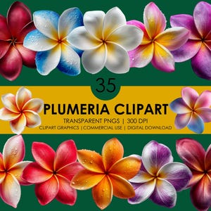 35 Plumeria Clipart / Flores tropicales / Flores realistas / Clipart realista / Gráficos de Plumeria / Flor botánica / Clipart de flores / Frangipani