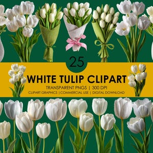 25 White Tulip Clipart, Tulip PNG, Realistic Tulip Clipart, Tulip Graphics, Flowers clip art, Floral Design, White Flowes Clipart Bundle