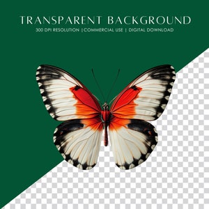 May include: A white butterfly with black markings and red accents on its wings. The butterfly is isolated against a transparent background.