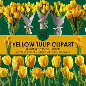 30 Yellow Tulip Clipart, Tulip PNG, Realistic Tulip Clipart, Tulip Graphics, Flowers clip art, Floral Design, Yellow Flowes Clipart Bundle