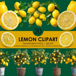 Citron Clipart Set: Realistisk frukt PNG-grafik (digital nedladdning)