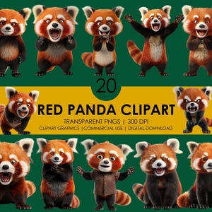 20 imágenes prediseñadas de panda rojo/ adorable panda rojo/ panda rojo de dibujos animados/ panda rojo divertido/ panda rojo PNG/ gráficos de panda rojo/ panda rojo realista