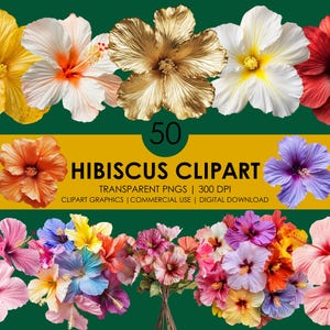 50 imágenes prediseñadas de hibisco/imágenes prediseñadas de flores tropicales/flor de hibisco/hibisco realista/flor de verano/hibisco PNG/arte floral/ramo de hibisco