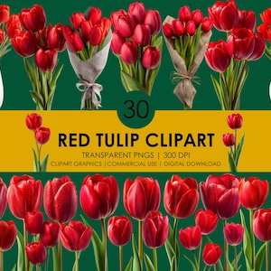 30 rode tulp clipart, tulp png, realistische tulp clipart, tulp graphics, bloemen illustraties, bloemdessin, rode bloemen clipart bundel