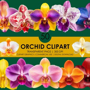 50 imágenes prediseñadas de orquídeas, flores exóticas, imágenes prediseñadas realistas, gráficos de orquídeas, flores botánicas, imágenes prediseñadas de flores, imágenes PNG de orquídeas, flores de orquídeas coloridas