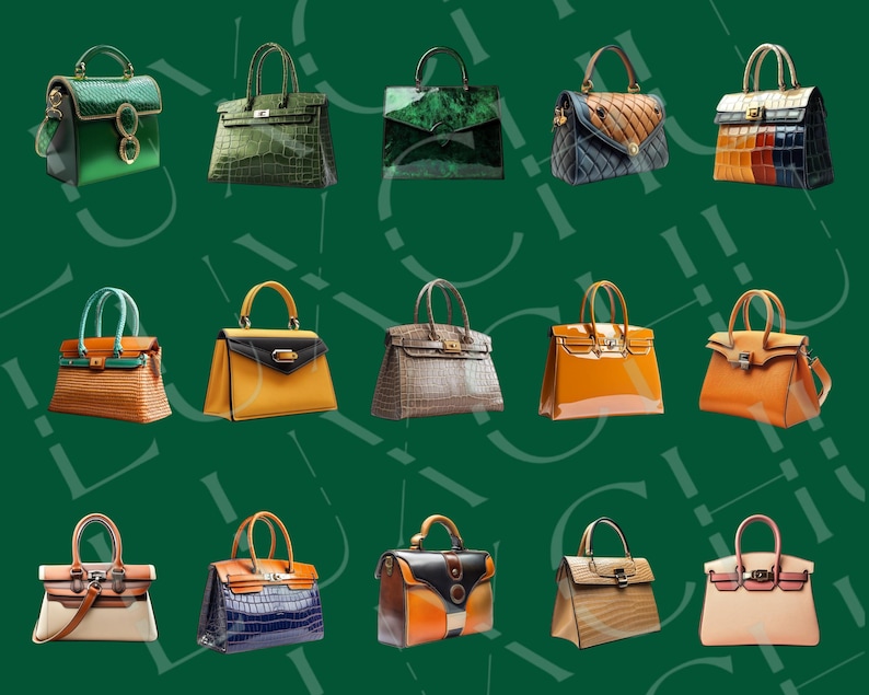 Pu&ograve; includere: Una collezione di 15 borse di design in vari colori e materiali, tra cui pelle, pelle di coccodrillo e tessuto. Le borse sono disposte in tre file di cinque, con ogni borsa che presenta un design e uno stile unici.