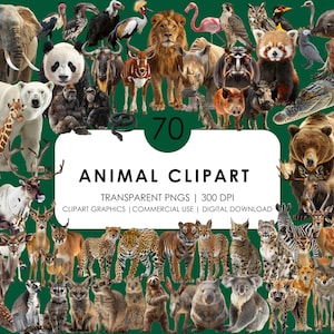 70 imágenes prediseñadas de animales/Imágenes prediseñadas de animales de safari/Animales salvajes/Imágenes prediseñadas de animales africanos/León, cebra, hipopótamo, panda rojo, babuino/Imágenes prediseñadas realistas