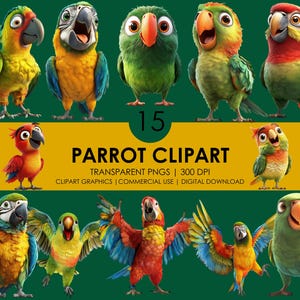 15 Papagei Clipart | Papagei Clipart | Vogel Clipart | Tropische Vögel | Cartoon Papagei | Realistischer Papagei | Realistische Cliparts | Papagei Png | Tierkunst