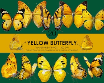 May include: A set of 20 digital images of yellow butterflies with black markings. The butterflies are isolated on a transparent background. The images are 300 DPI and are suitable for commercial use.