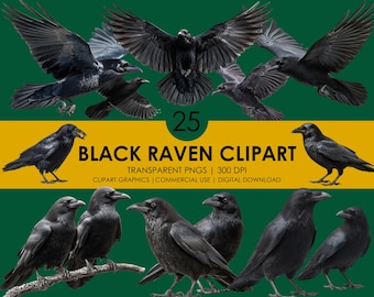Realistic Black Raven Clipart, Gothic Bird PNG, Halloween Crow Graphics, Mystical black bird, Transparent Background, Digital Download
