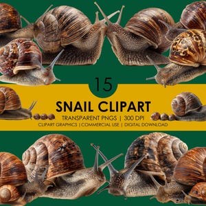 15 imágenes prediseñadas de caracoles, imágenes PNG de caracoles, ilustraciones de caracoles, imágenes prediseñadas de animales de jardín, gráficos realistas de caracoles, imágenes prediseñadas de conchas de caracol, imágenes prediseñadas realistas
