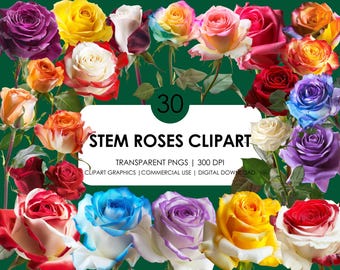 30 Roses Clipart| Stem Rose Clipart Bundle| Floral Clipart| Roses png| Realistic Clipart | Rose graphics| Digital Download| Commercial use