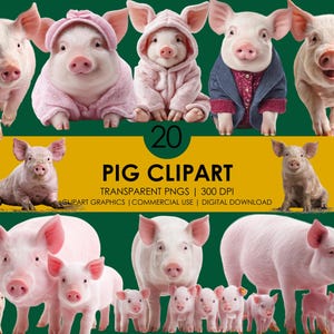 20 Pig Clipart, Pig PNG, Cute and Realistic Pig Clipart, Farm Animal Clipart, Baby Pig Graphics, Livestock Art PNG Bundle, Animal clipart