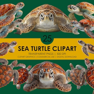 25 Meeresschildkröte Clipart, Meeresschildkröte PNG, Meerestier Clipart, Meeresleben Clipart, Süße Schildkröte PNG, Realistische Meeresschildkröte Grafiken, Tier Png