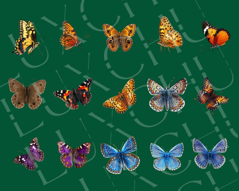 May include: A collection of 15 colourful butterfly illustrations with various wing patterns and colours, including brown, orange, blue, purple, and black.