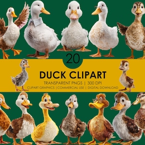 20 Duck Clipart, Duck PNG, Cute Duck Cartoon, Realistic Duck Clipart, Farm Animal Clipart, Funny Duck, Baby Duck Graphics, Animal Clipart