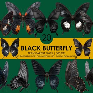20 imágenes prediseñadas de mariposas negras/imágenes prediseñadas realistas/gráficos de mariposas/mariposa PNG/imágenes prediseñadas de insectos/mariposa realista/descarga digital