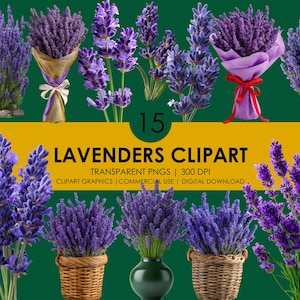 15 Lavendels Clipart, Lavendel PNG, lila Blume Clipart, Botanische Clipart, Blumen PNG, realistische Clipart, Provence Lavendel Grafiken,