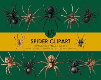Spinne Clipart Set: Realistische Halloween Spinne Grafiken (Digitaler Download PNGs)