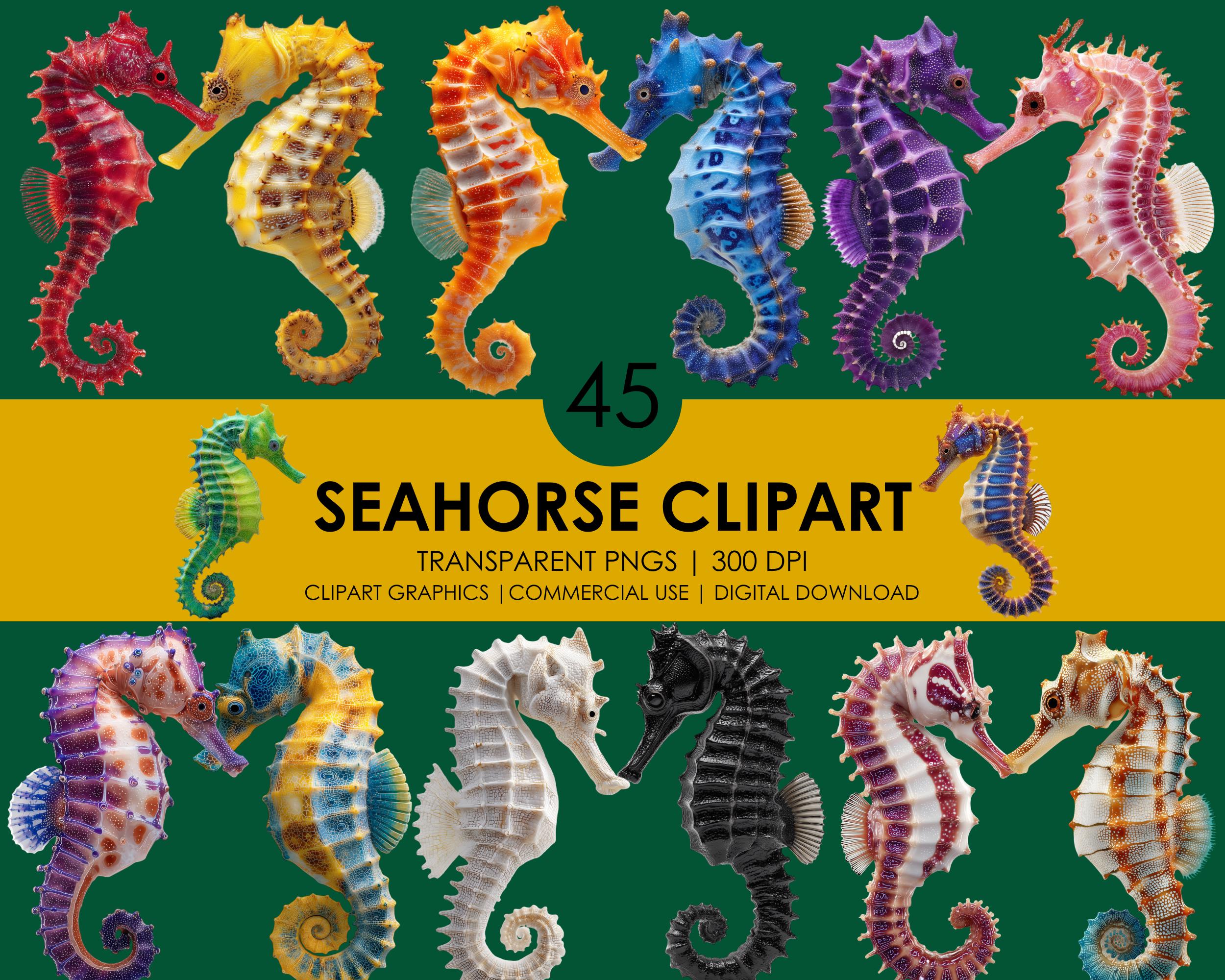 45 タツノオトシゴのクリップアート| 海洋生物 PNG| リアルなクリップ