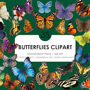 35 mariposas realistas clipart/mariposas PNG gráficos/descarga digital de alta calidad/descarga instantánea para uso comercial