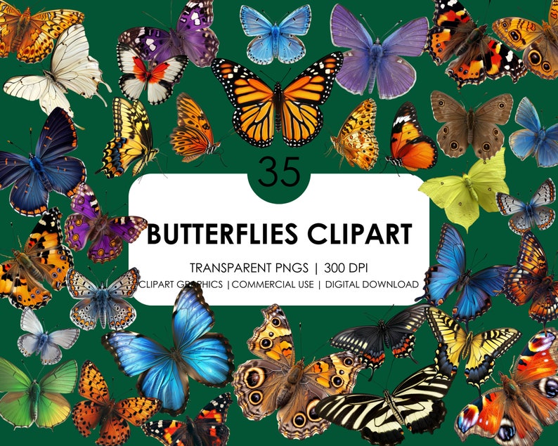 May include: A digital clipart set of 35 colourful butterfly illustrations with transparent backgrounds. The butterflies are in various poses and sizes, with wings in shades of blue, green, orange, yellow, red, and brown.