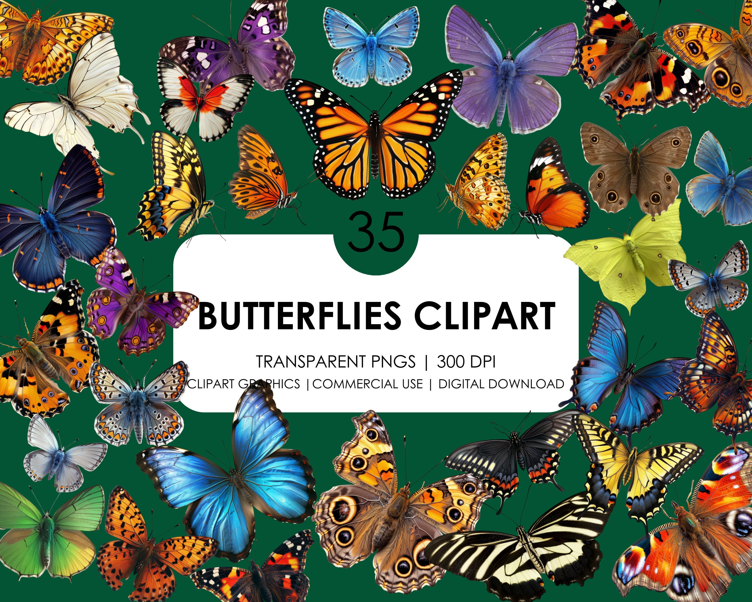 35 Realistic Butterflies Clipart| Butterfly PNG Graphics| High Quality Digital download| Instant Download for Commercial Use