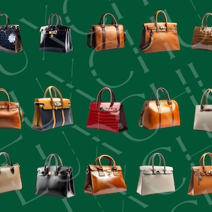 Pu&ograve; includere: Una collezione di 15 diverse borse di design in vari colori e materiali, tra cui pelle, coccodrillo e tela. Le borse sono disposte in tre file di cinque, con ogni borsa che presenta un design e uno stile unici.