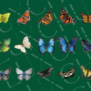 May include: A collection of 12 colourful butterflies with various wing patterns and colours, including blue, green, yellow, orange, and black. The butterflies are arranged in a grid pattern on a green background.