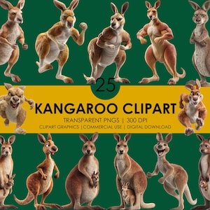 Kangaroo Clipart| 25 Kangaroo PNG| kangaroo cartoon| Cute kangaroo clipart| Realistic clipart| Australian animals clipart| kangaroo graphics